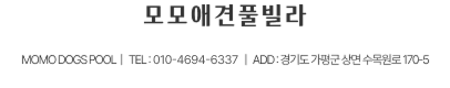 모모애견풀빌라 바로가기